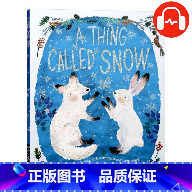 [正版]尤瓦尔佐默一种叫做雪的东西英文原版 A Thing Called Snow 儿童绘本故事图画书知名作者Yuva
