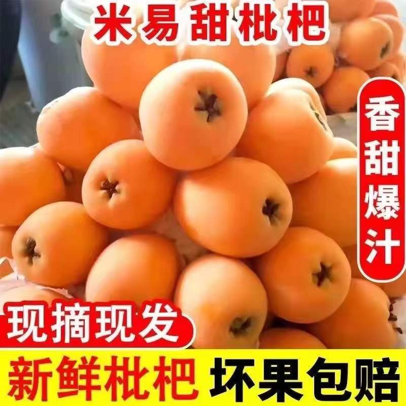 四川枇杷 3斤 中果 单果20-30g 陈小四水果 新鲜水果 生鲜水果 生鲜