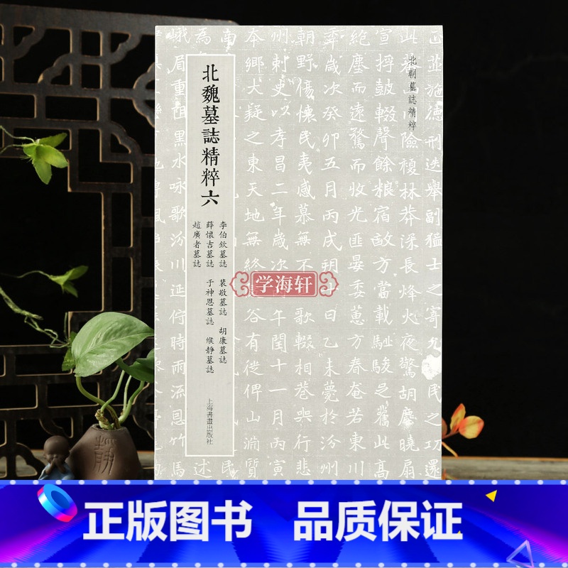 北魏墓志精粹六 [正版]学海轩 北魏墓志六 李伯钦墓志裴敬墓志胡康墓志薛怀吉墓志于神恩墓志缑静墓志赵广者墓志 名家魏碑楷