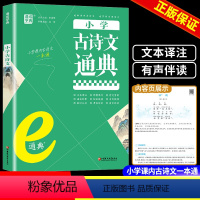 小学通用 [正版]版 通城学典 小学古诗文通典 小学一二三四五六年级经典古文诗词鉴赏唐诗诵读解析课堂内外阅读训练资料工