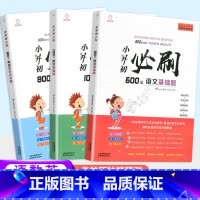 学生笔记本(随机1本) 小学升初中 [正版]小升初必刷题人教版语文数学英语全套小学六年级升七年级真题卷专项训练知