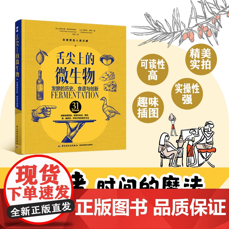 舌尖上的微生物发酵的历史食谱与创新发酵孕育出食物的独特风味将等待升华为生命的灵动馈赠发酵康普茶开菲尔泡菜美食爱好者