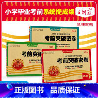 [3本套装]语文+数学+英语 小学升初中 [正版]小升初刷重点校语文数学英语考前突破密卷套装六年级毕业总复习各地真题试卷