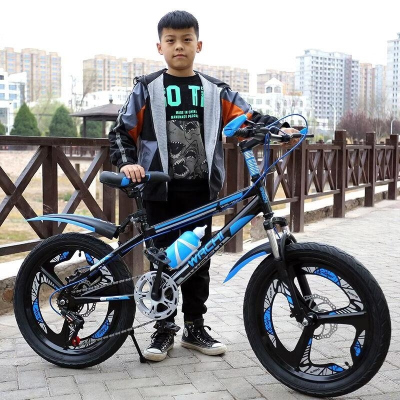 儿童自行车6-12-10-15岁学生小孩山地车变速男女碟刹减震大童单车