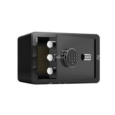 洛诗莲LSL40618085小型保险柜密码保险箱全钢防盗保管箱 20cm黑色电子密码款