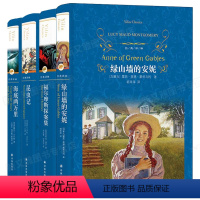 [正版]经典译林共4册 福尔摩斯探案+海底两万里+昆虫记+经典译林4册