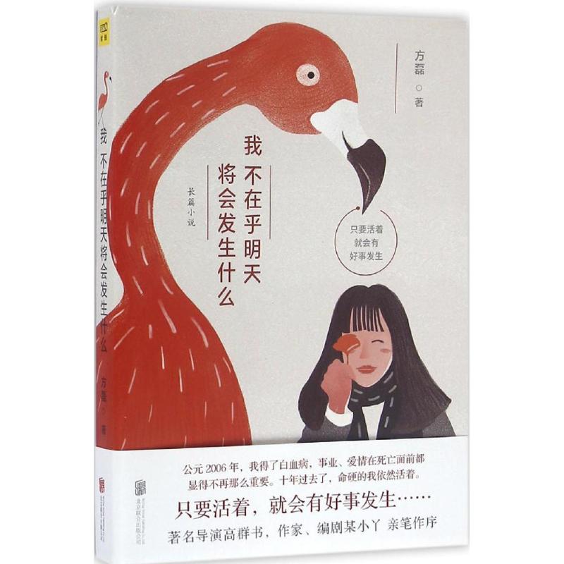 我不在乎明天将会发生什么 方磊 著 文学 文轩网