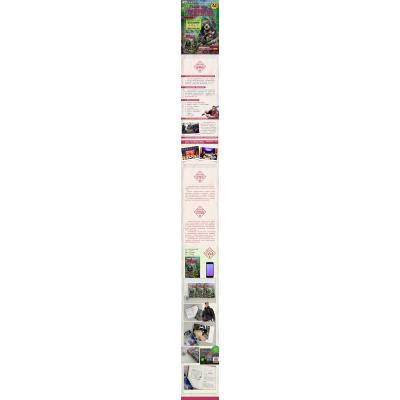 荒野求生少年生存小说系列(拓展版)25:黑熊山谷的惊心营救