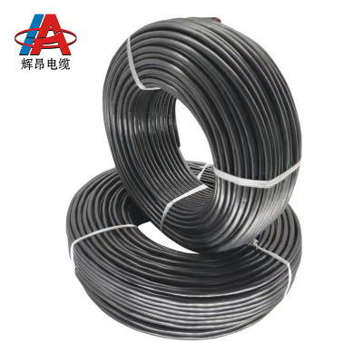 辉昂 屏蔽双绞线 RVSP 300/300V -14*0.5平方 盘