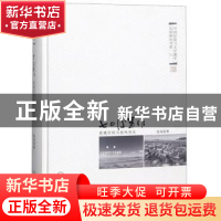 正版 70后写作:意境闳阔与韵味悠长:文学湘军五少将阐释 聂茂 中