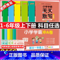 [一年级上]冲A卷数学*人教版 小学通用 [正版]2023秋pass绿卡小学学霸冲a卷天天默写天天计算一二三四五六年级上
