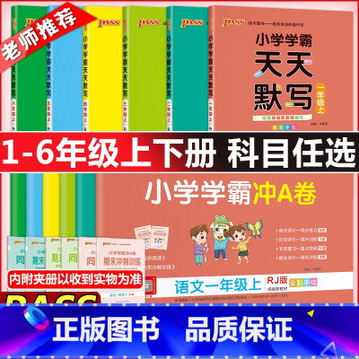 [一年级上]冲A卷数学*人教版 小学通用 [正版]2023秋pass绿卡小学学霸冲a卷天天默写天天计算一二三四五六年级上