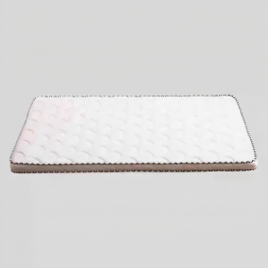 起固 棕垫 1000*2000 张