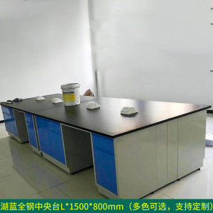 DXBG全钢实验台钢木PP边台柜试验台化验室工作台实验室桌操作台定制(每米单价)[工厂现做 7天内发货]