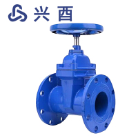 兴酉 法兰软密封暗杆闸阀 DN100 个