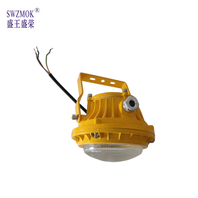 盛王盛荣 LED 防爆照明灯