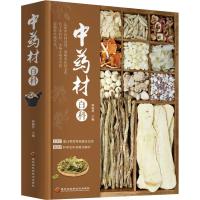 正版新书]中药材百科薛丽君9787538892062