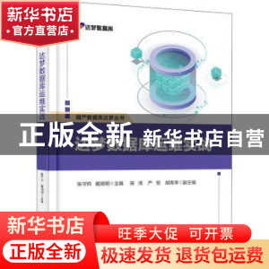 正版 达梦数据库运维实战/国产数据库达梦丛书 张守帅 电子工业出