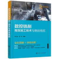 音像数控铣削高效加工技术与绝技绝招刘文进,李锋 编著