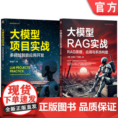 套装 大模型项目实战 多领域智能应用开发+大模型RAG实战 RAG原理 应用与系统构建 套装全2册 AI大模型与RA