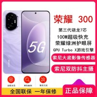 [全新]荣耀300 庐烟紫 16GB+512GB 第三代骁龙7芯 5G 5300毫安青海湖电池 100W快充 拍照手机