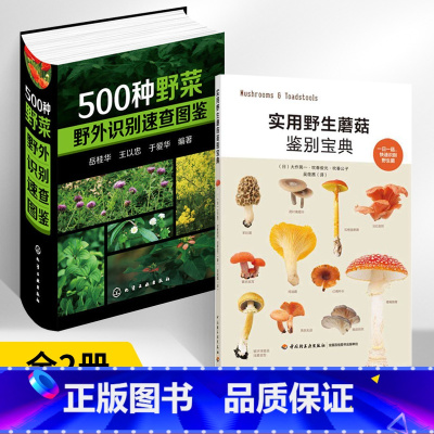 [正版]500种野菜野外识别速查图鉴+实用蘑菇鉴别宝典 全2册 中医养生保健书籍大全自然科学 生物科学 植物学健康饮食