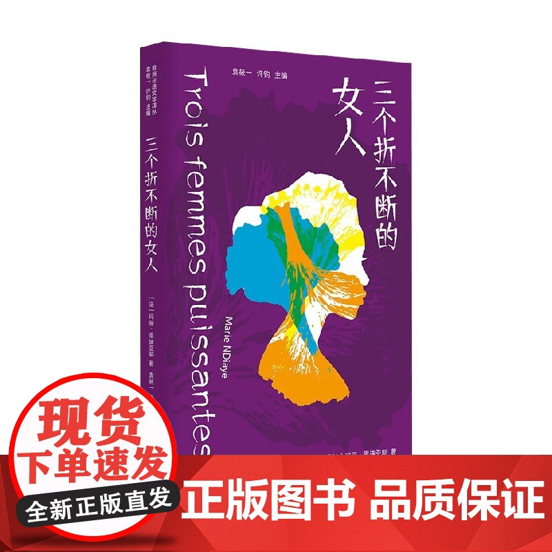 三个折不断的女人 玛丽·恩迪亚耶 著 小说