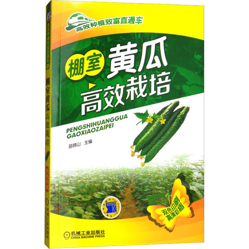 正版新书]棚室黄瓜高效栽培苗锦山 主编9787111496038