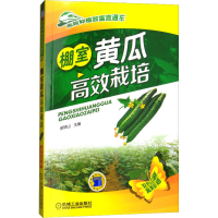 正版新书]棚室黄瓜高效栽培苗锦山 主编9787111496038