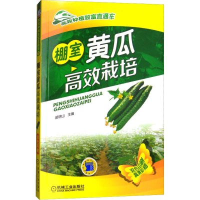 正版新书]棚室黄瓜高效栽培苗锦山 主编9787111496038