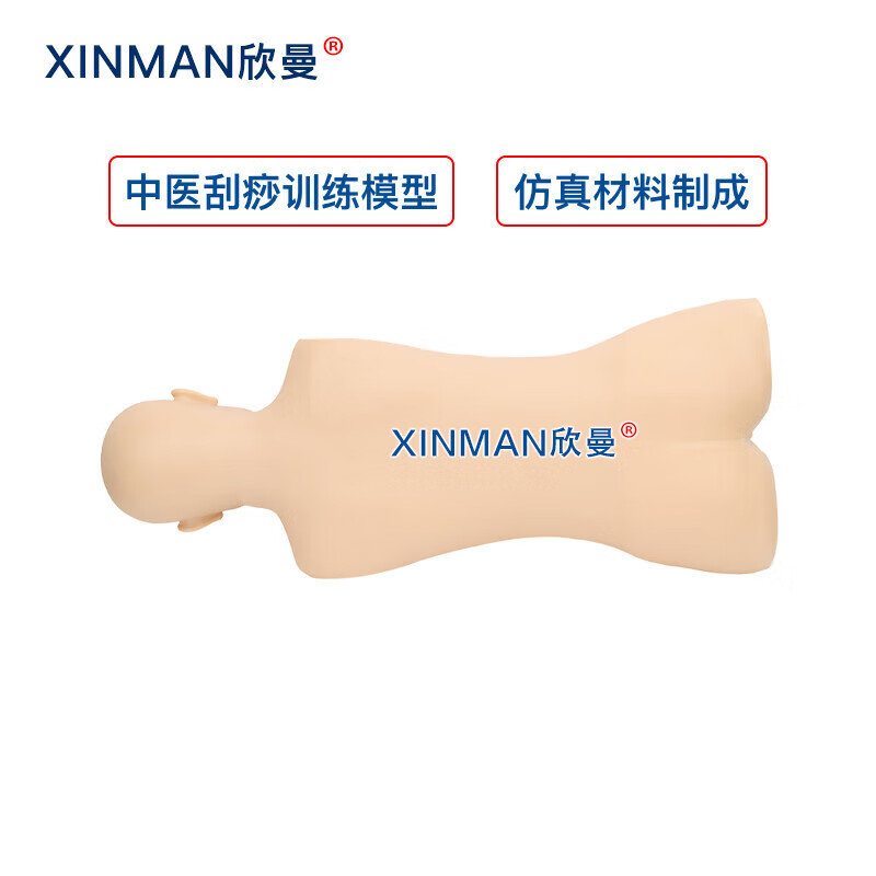 欣曼科教 中医刮痧训练模型 刮痧练习模拟人 中医教学用人体模型