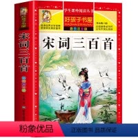 宋词三百首 [正版]宋词三百首 小学生版 彩图注音版全集300首幼儿早教国学启蒙经典儿童课外阅读书籍一年级二年级三课外书
