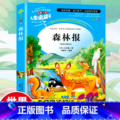 森林报 [正版]满49森林报 五年级必读春夏秋冬四季全集小学生青少年版三四五六年级课外必读书3-4-5-6年级课外阅读儿