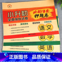 小升初押题卷 语数英 全3册 小学升初中 [正版]2024小升初必刷题人教版语文数学英语总复习资料书专项训练习册基础知识