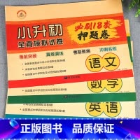 小升初押题卷 语数英 全3册 小学升初中 [正版]2024小升初必刷题人教版语文数学英语总复习资料书专项训练习册基础知识