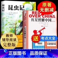[赠考点]红星照耀中国+昆虫记 [正版]红星照耀中国和昆虫记原著完整无删减八年级上册初二青少年必课外阅读书籍法布尔红星名