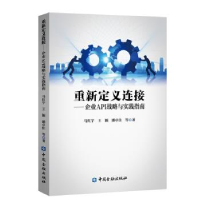 正版新书]重新定义连接:企业API战略与实践指南马红宇 等9787522