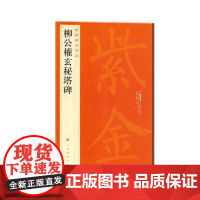 中国碑帖名品·柳公权玄秘塔碑 上海书画出版社