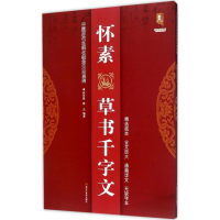 音像怀素草书千字文班志铭,班正 编著