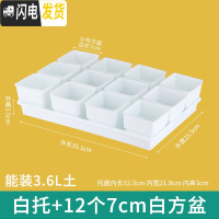三维工匠美莳控根多肉花盆塑料套装组合创意透气肉肉控型盆器带托盘小花盆 白托+12个白盆(7cm盆) 小花盆容器
