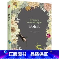 [正版]昆虫记八年级上名家名译中小学名著北京教师注释