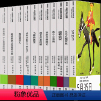 [正版]5月35曰书埃里希·凯斯特纳作品集埃米尔擒贼记 两个小洛特 飞翔的教室 小不点和安东 5月35书 五月35日