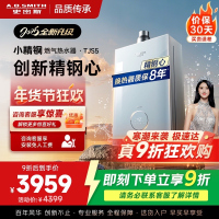 史密斯佳尼特[小精钢TJS5]16升增压零冷水燃气热水器 国家补贴 JSQ31-TJS5 安全守护 持久恒温 新品
