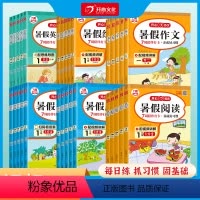 暑假专项6本套装[送7周陪伴打卡] 小学一年级 [正版]2023新开心暑假作业一二三四五六年级暑假专项训练上下册口算应用