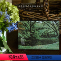 [正版]知否知否 摄影师@一只羊阿姨摄影作品 大自然中绿色系景象和事物 出类艺术明信片创意唯美风景文艺小清新贺卡插画集