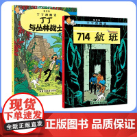 714航班(第二十一集)+丁丁与丛林战士(第二十二集)大开本 新版丁丁历险记连环画卡通漫画故事书小学生课外阅读书籍
