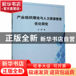 正版 产业组织理论与人力资源管理优化研究 王颖著 北京工业大学