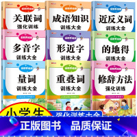 [全套9册]小学语文专项强化训练 小学通用 [正版]词语积累大全训练手册全套9本小学语文句子训练专项练习重叠词量词aab