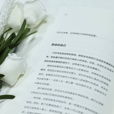 醉染图书内疚清理练习9787516833407