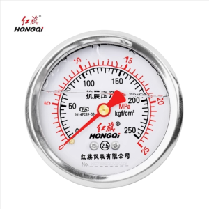 红旗 轴向耐震压力表定制检测款YTN60 块
